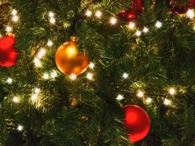 navidad-precio-arbol-2020-articulos-fotos