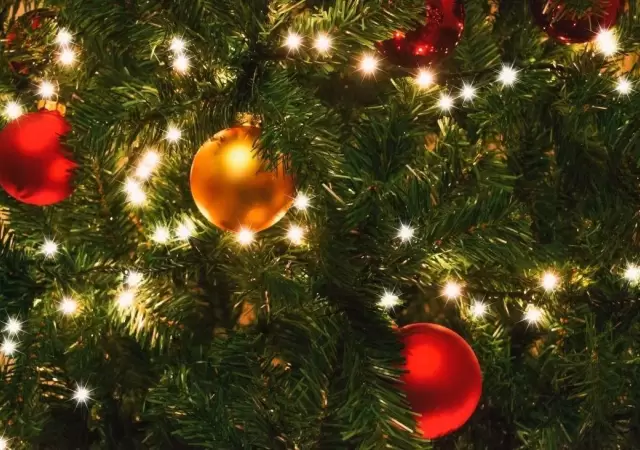 navidad-precio-arbol-2020-articulos-fotos