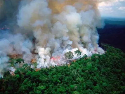 incendio-llamas-brasil-el-amazonas-la-amazona-desastre-fotos-8