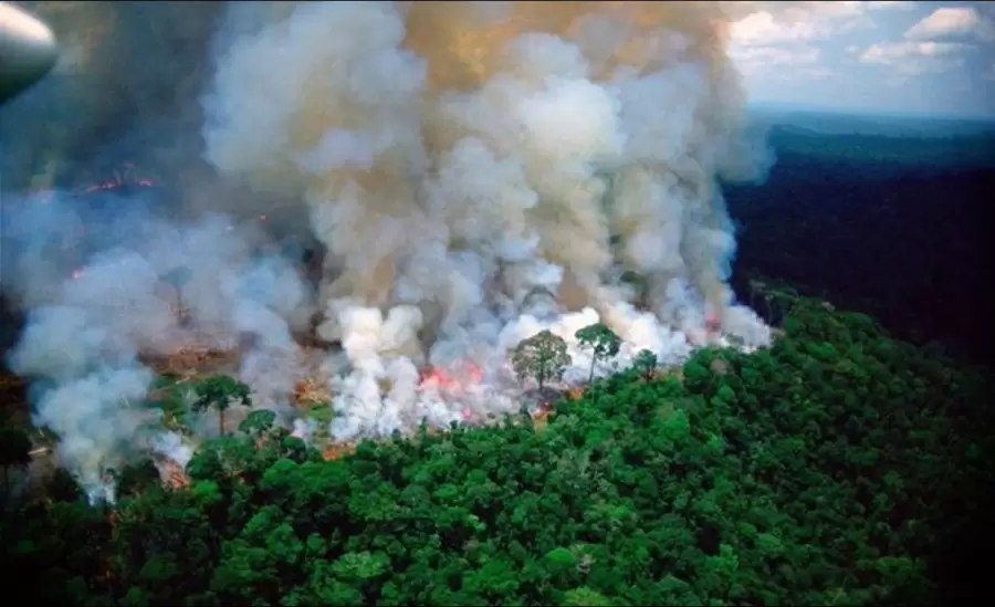 incendio-llamas-brasil-el-amazonas-la-amazon�a-desastre-fotos-8