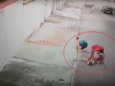 video-perro-ataque-pitbull-brasil