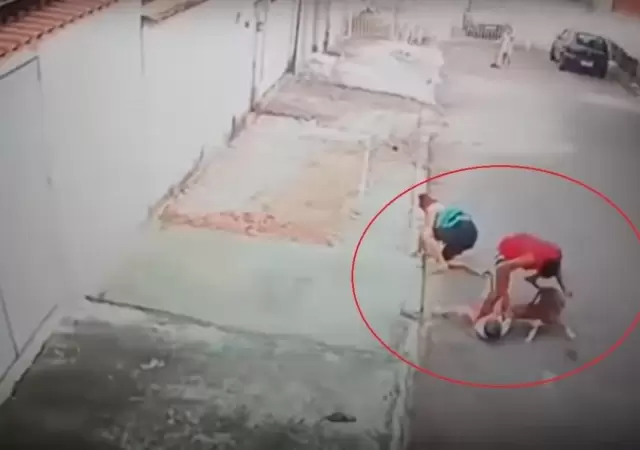 video-perro-ataque-pitbull-brasil