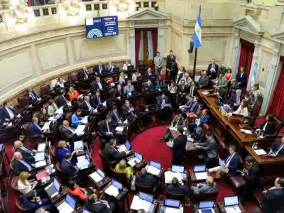 senado-naci�n-foto-ley
