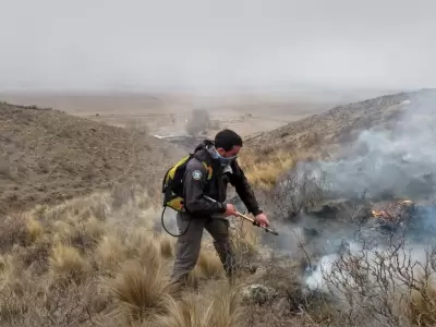 incendios-forestales