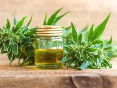 20190409074017_hemp-cbd-oil