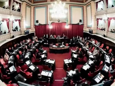 Senado-Ley-impositiva
