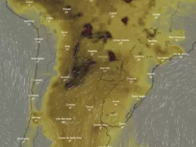 humo