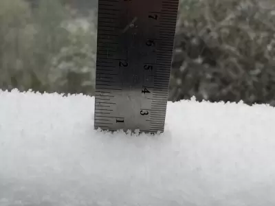 nieve