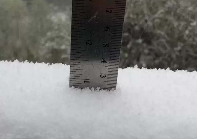 nieve