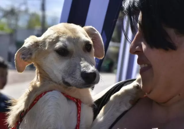 fiesta-adopciones-9