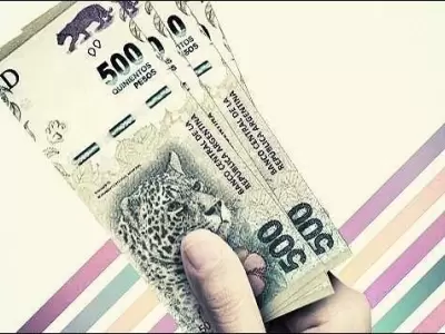 www.anses.gob.ar-creditos-anses