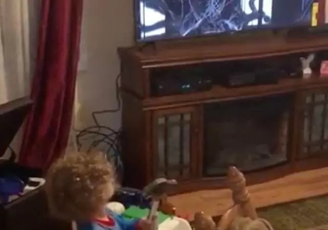 tv-roto