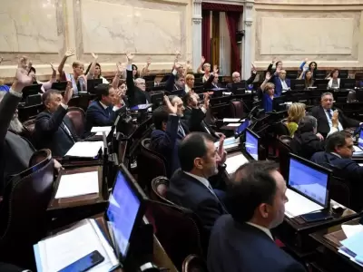 senado