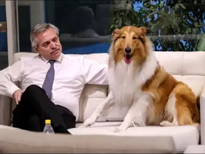 alberto-fernandez-perro-dylan