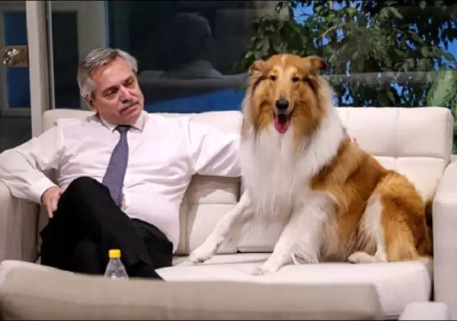 alberto-fernandez-perro-dylan