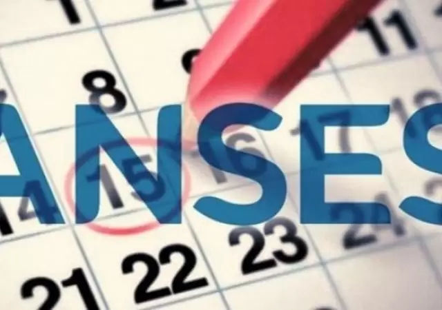 anses-calendario-de-pagos-enero-2020