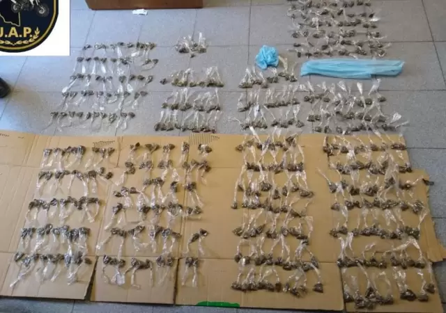 marihuana-droga-campo-pappa-policiales-mendoza