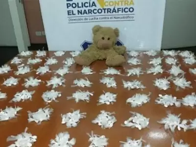 coca�na-oso-peluche