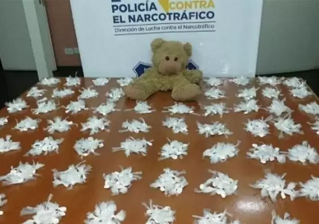coca�na-oso-peluche