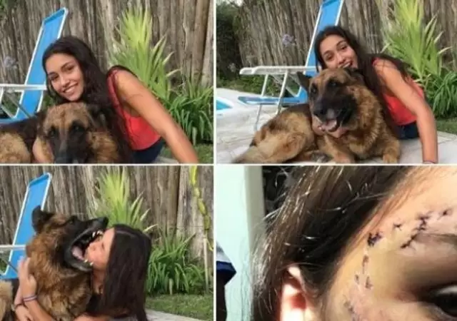 perro-fotos-mascota-ataque-kenai-chica-2