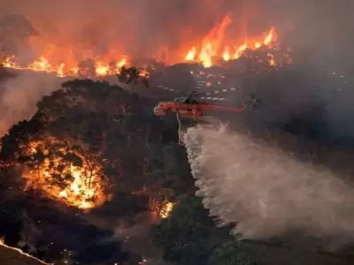 humo-australia-argentina