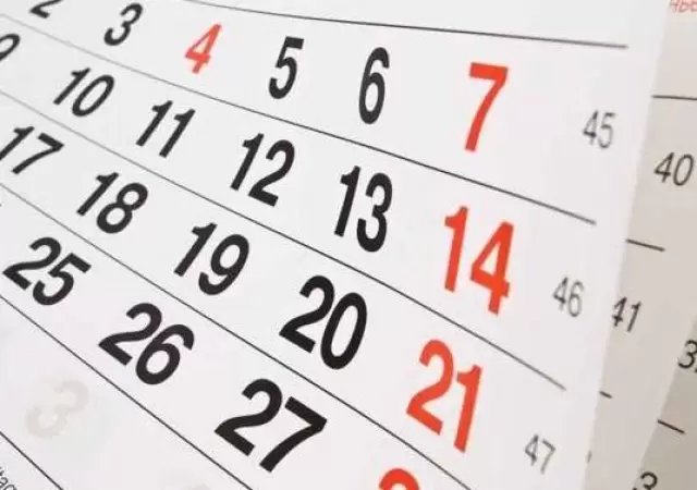 anses-calendario-de-pagos-febrero