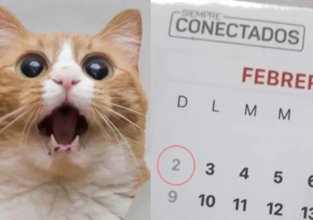 a�o-capic�a-n�mero-fotos-suerte-55