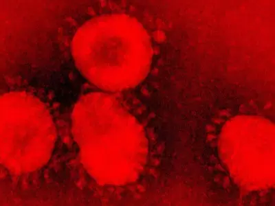 Coronavirus-2