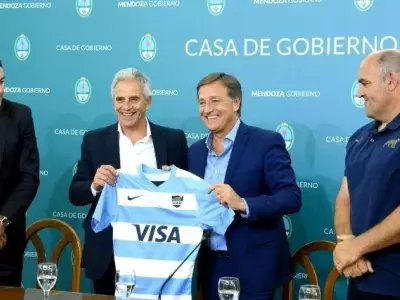 pumas-1
