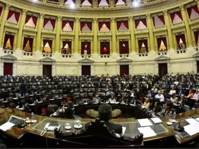 Diputados-Jubilaciones-de-privilegio