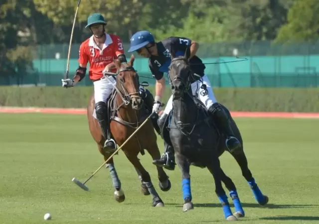 Polo-Vendimia02