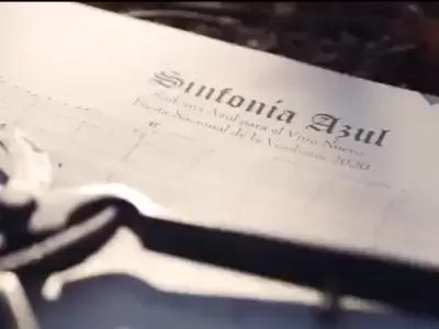 Vendimia-2020-video