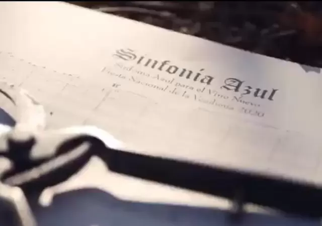 Vendimia-2020-video