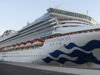crucero