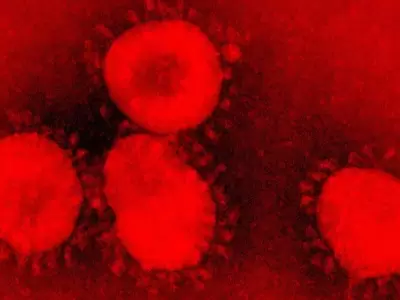 Coronavirus-2