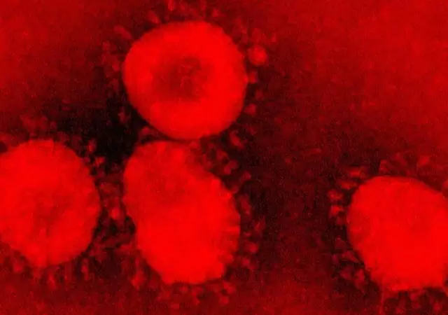 Coronavirus-2