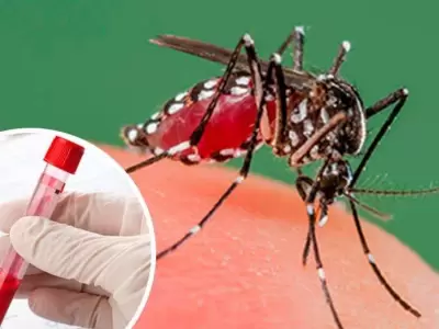 Dengue