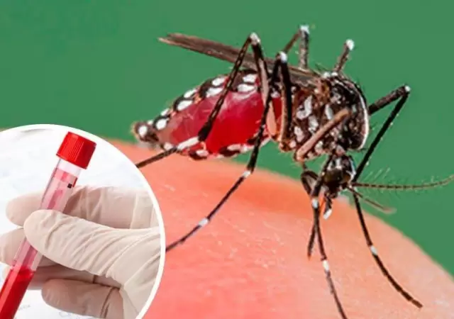 Dengue
