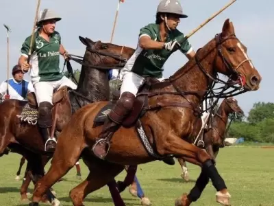 Polo-Vendimia
