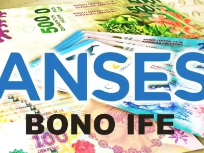 formulario-de-anses
