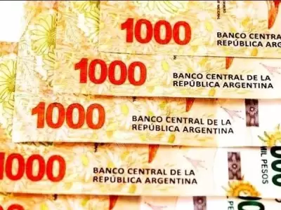 consulta--anses-bono-extraordinario-de-10000