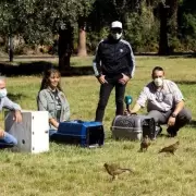 Mendoza liber� aves en cautiverio para celebrar el D�a del Animal
