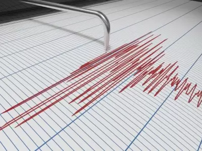 temblor