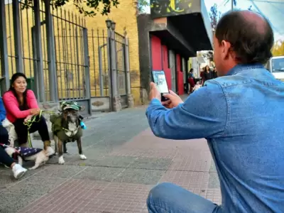Gesti�n-en-el-cuidado-de-los-animales-Tgto