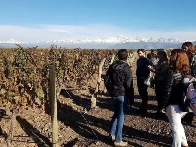 enoturismo