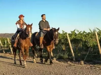 Enoturismo-turismo-del-vino-cabalgatas