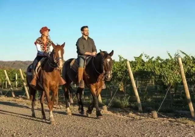 Enoturismo-turismo-del-vino-cabalgatas