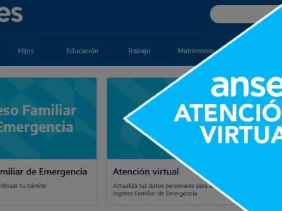 anses-gob-ar-atenci�n-virtual