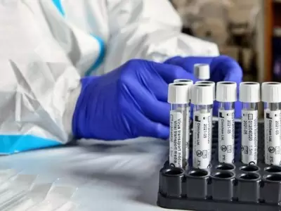 Mendoza-coronavirus