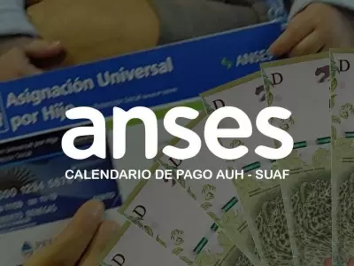 calendario-pagos--auh